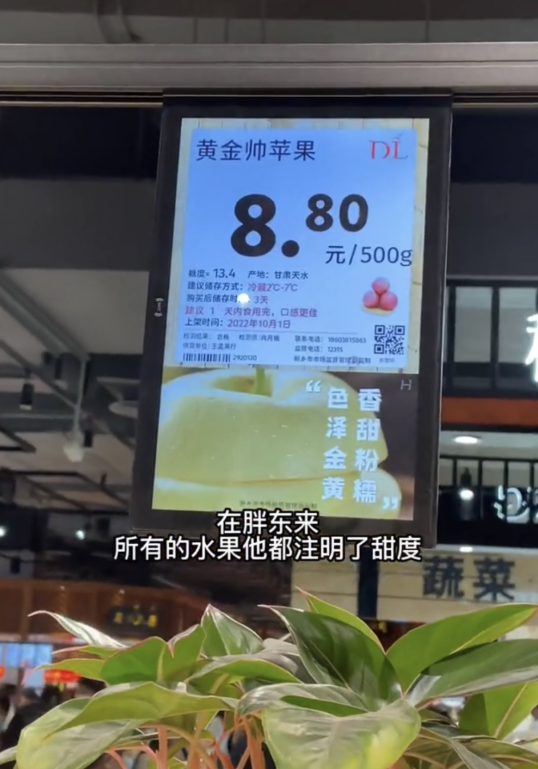 圖源:抖音@阿遠旅行