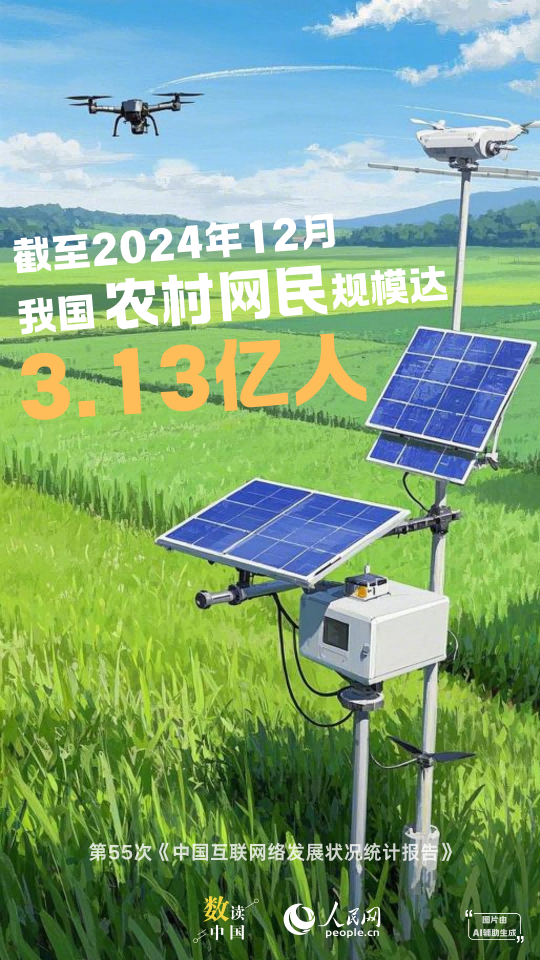 资料来源：中国互联网络信息中心（CNNIC）