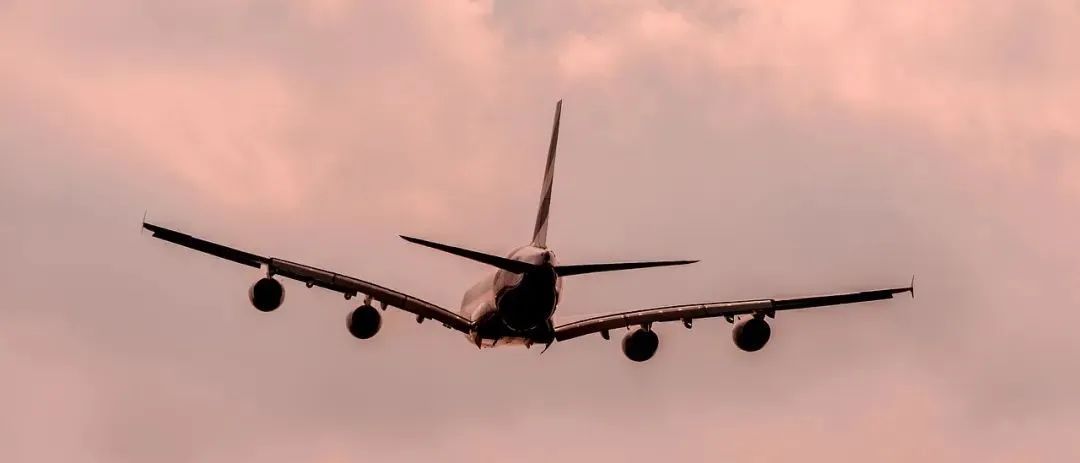 点击大图 | 演员王某被骗案细节公布！多东谈主获救！12东谈主被持