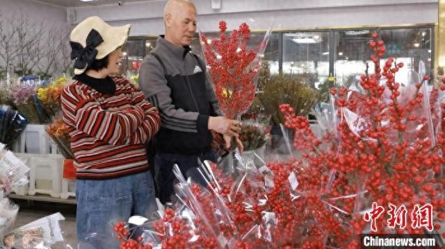 1月21日，广州市民在岭南花卉市场挑选年花。中新社记者 王庆然 摄