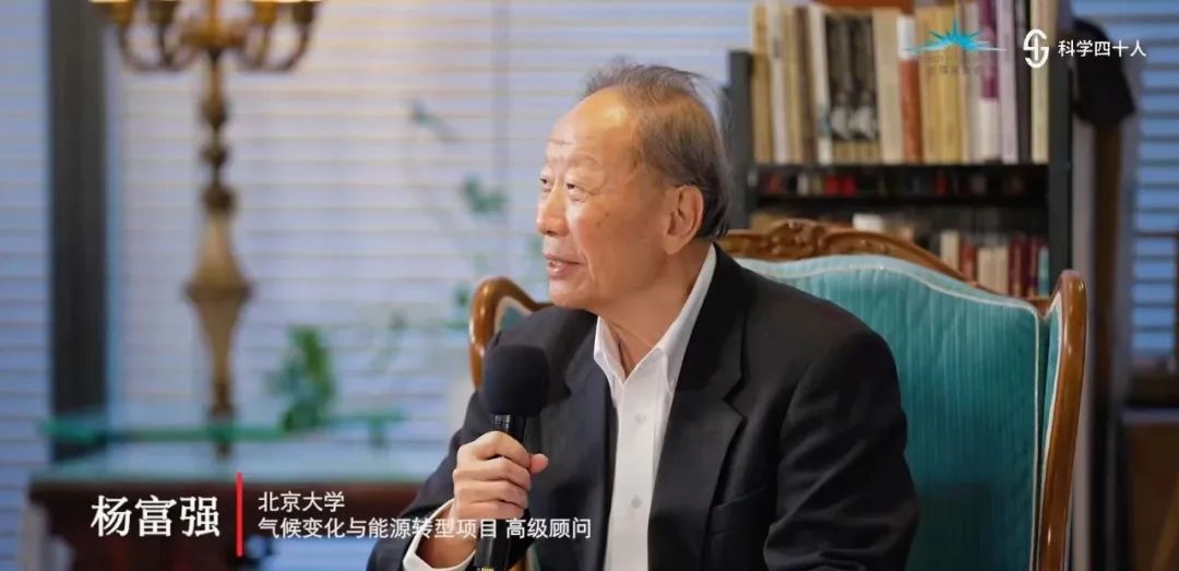 北京大学气候变化与能源转型项目高级顾问杨富强