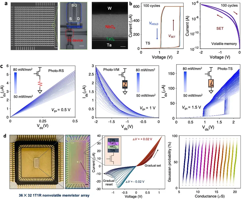 （来源：Nature Electronics）