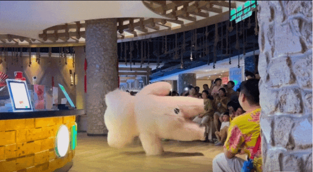 〓 表演也算上/图源：小红书@韭菜盒子，已获授权