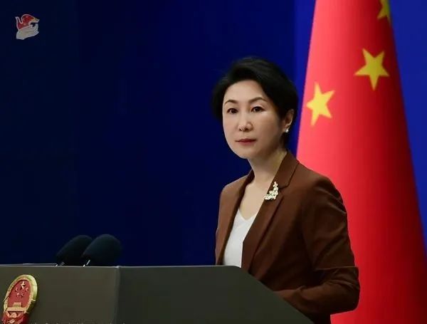 毛宁 尊府图 图源:酬酢部网站