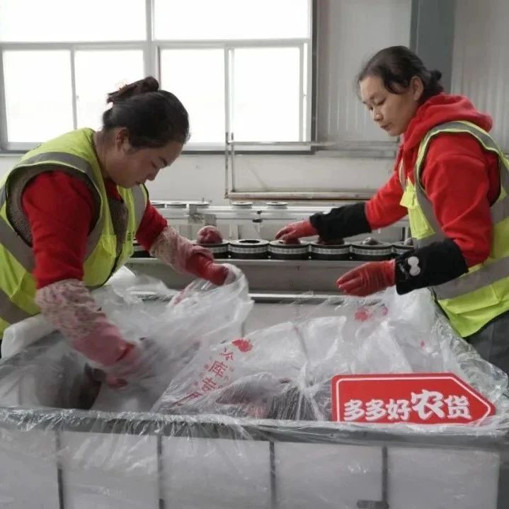 带动岗位逾5500万，拼多多为电商就业带来哪些新故事？