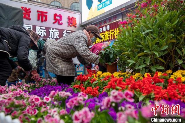 图为东兴口岸出入境通道外，工作人员摆起鲜花迎新春。中新社记者 翟李强 摄