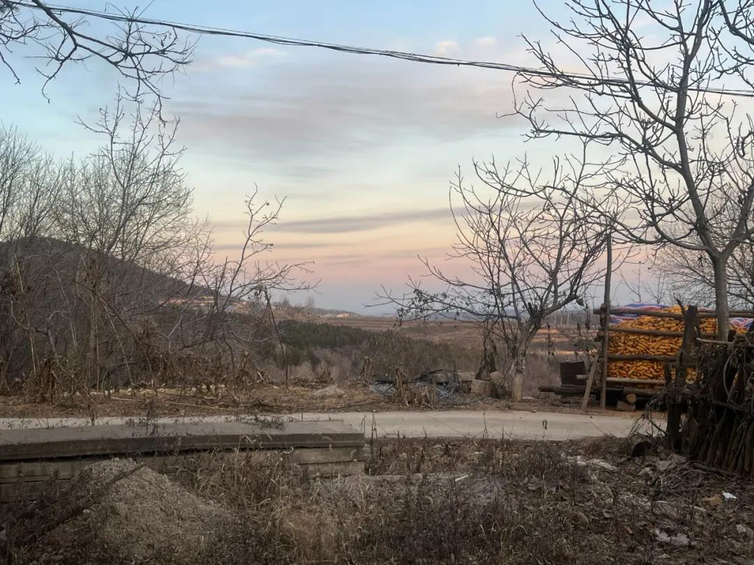 图 | 从公司往县城外车程3分钟遇到的景色