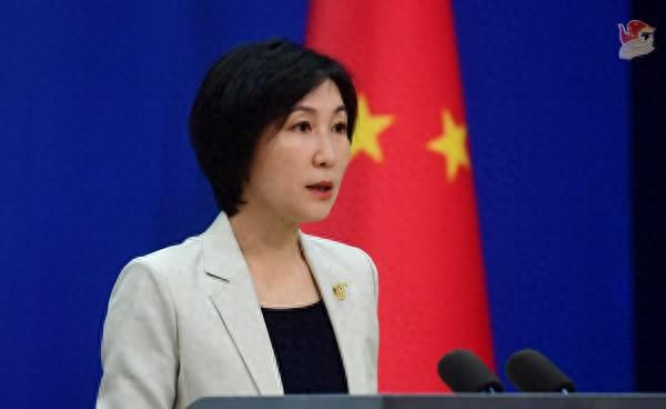毛宁资料图。图源：外交部网站