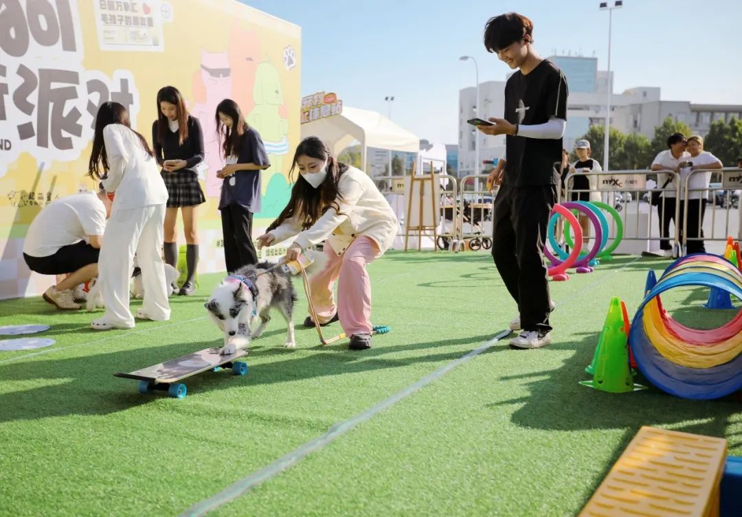 各类宠物派对备受欢迎，图源：IC photo