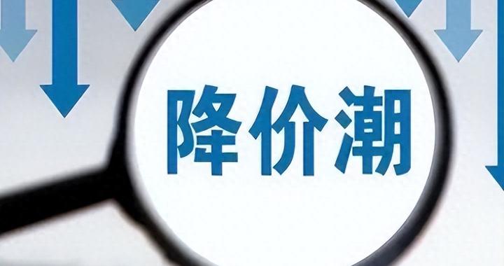 2025年起中国或将迎四大降价潮：除房价外，这三类也准备降价了？|房价_新浪新闻