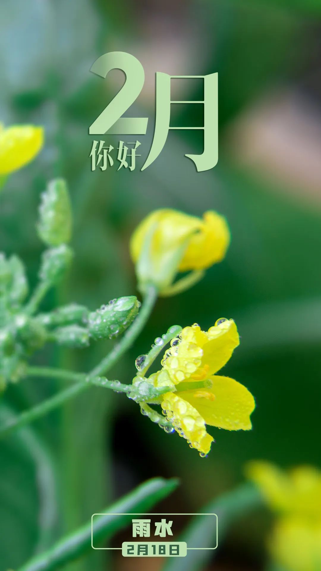 2月,你好