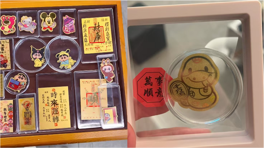 图源 / 张阳供图