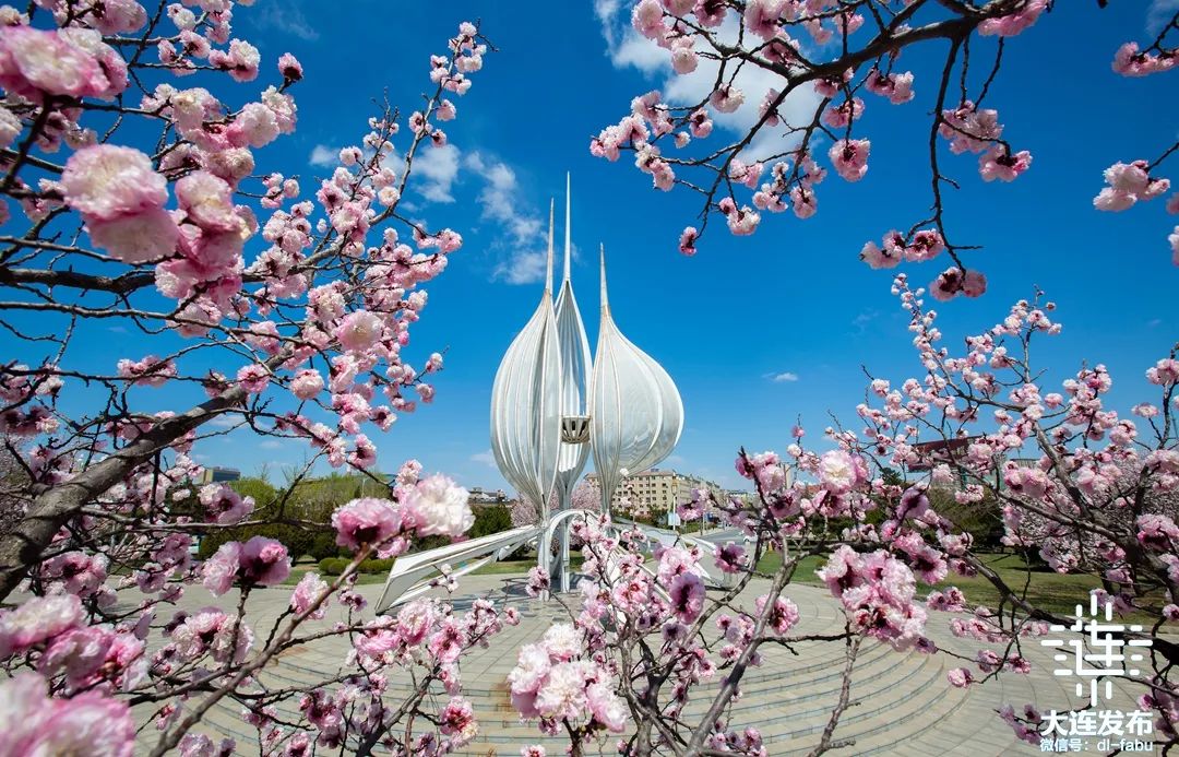 2025,来普兰店见一面!