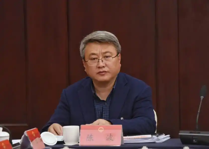 刚免职的副厅长,官宣被查|陈波_新浪财经_新浪网
