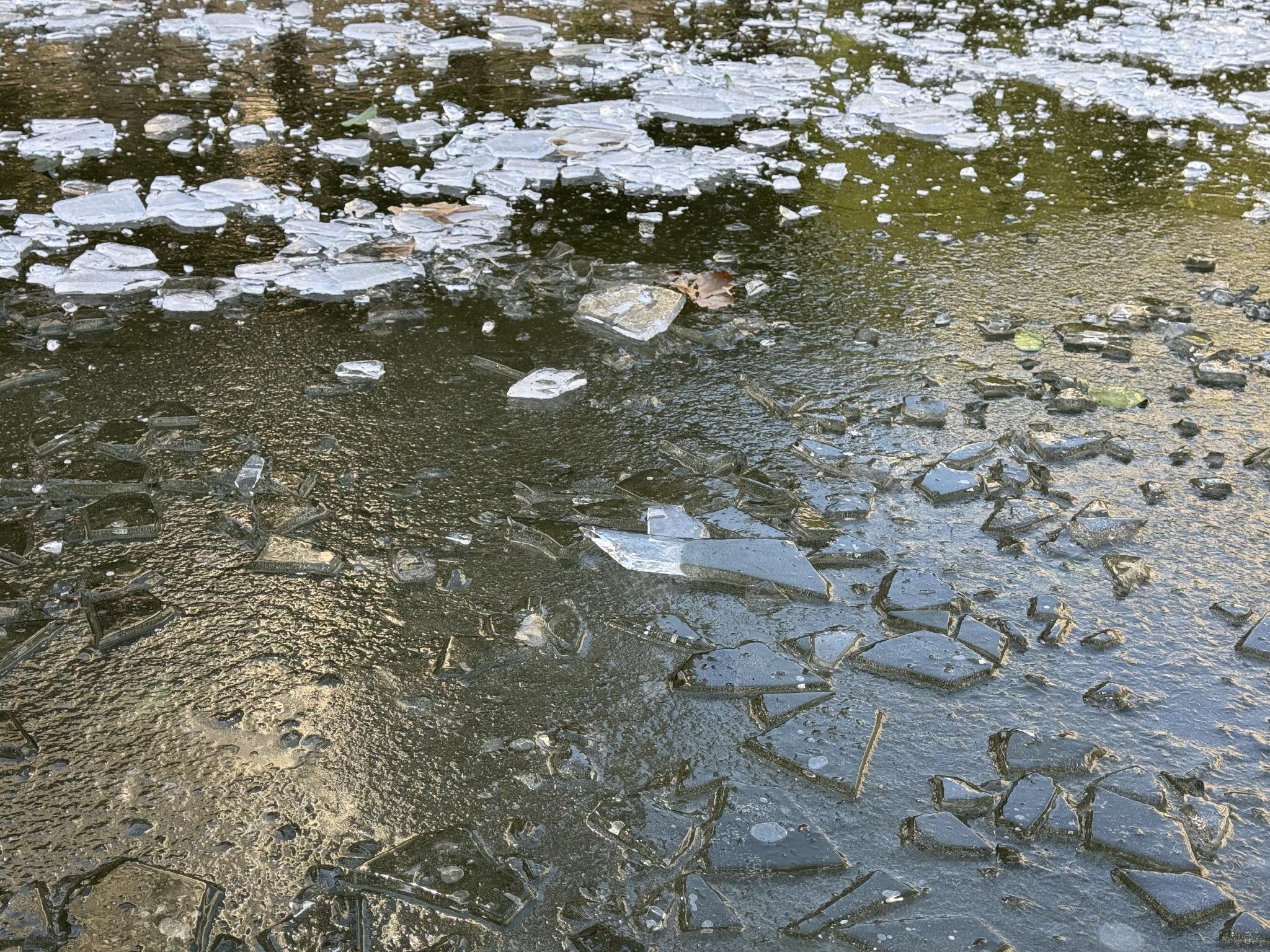 魔都"冻人",有网友称缺乏下床的勇气|上海市