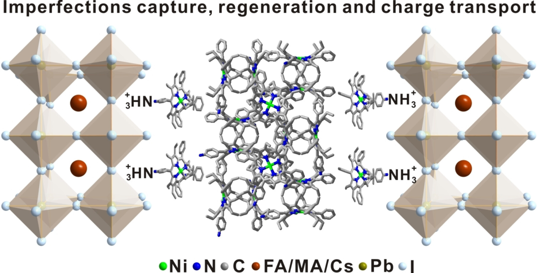 （来源：Angewandte Chemie-International Edition）