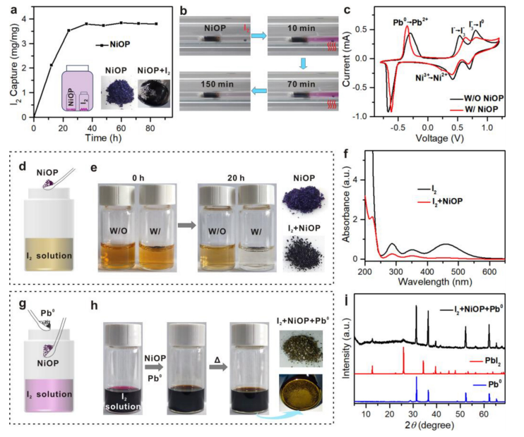 （来源：Angewandte Chemie-International Edition）