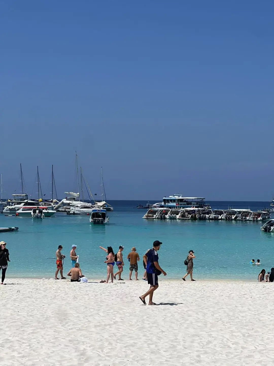 图：果冻海。图源：晓晴供图