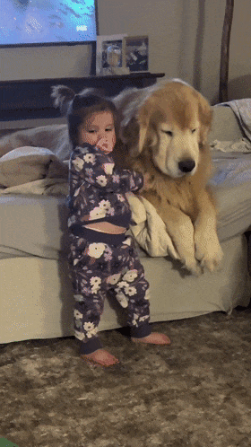 阿富汗猎犬从背后拥抱主人，楚楚可怜的模样萌化无数网友：快回头看看它！