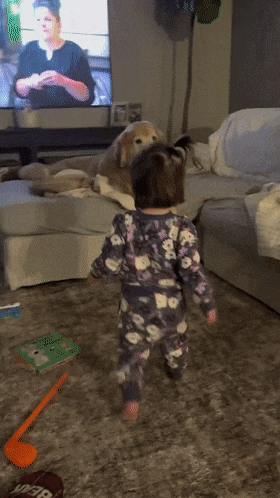 阿富汗猎犬从背后拥抱主人，楚楚可怜的模样萌化无数网友：快回头看看它！