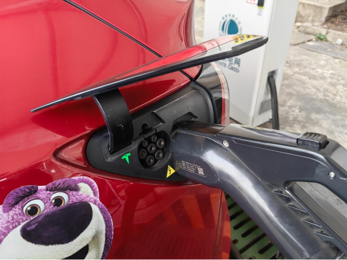 图为肖女士的特斯拉新能源汽车正在充电