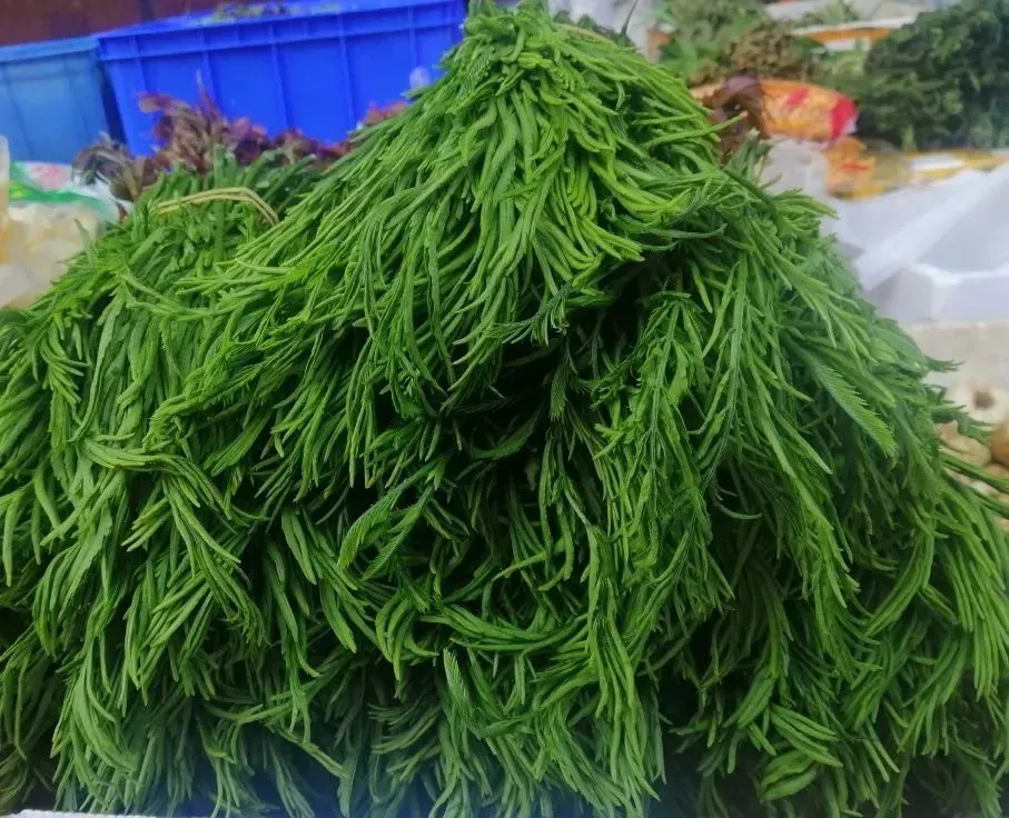 臭菜 楚雄州委宣传部 供图