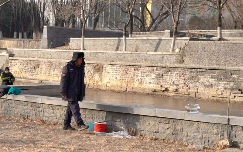 奥林匹克森林公园南园，一名工作人员发现拍鸟者的“道具”。新京报记者 王巍 摄