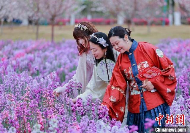 女性代表打卡花海。广东省林业局 供图