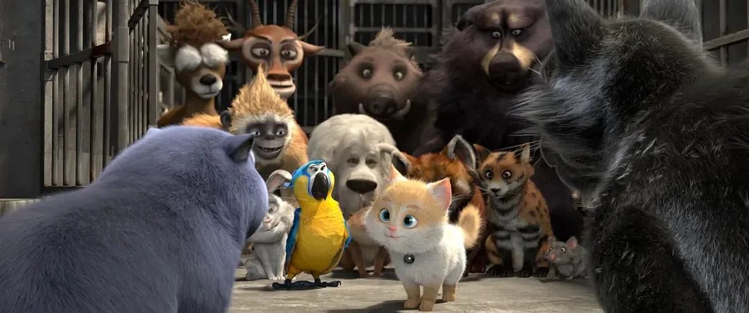 《猫与桃花源》剧照