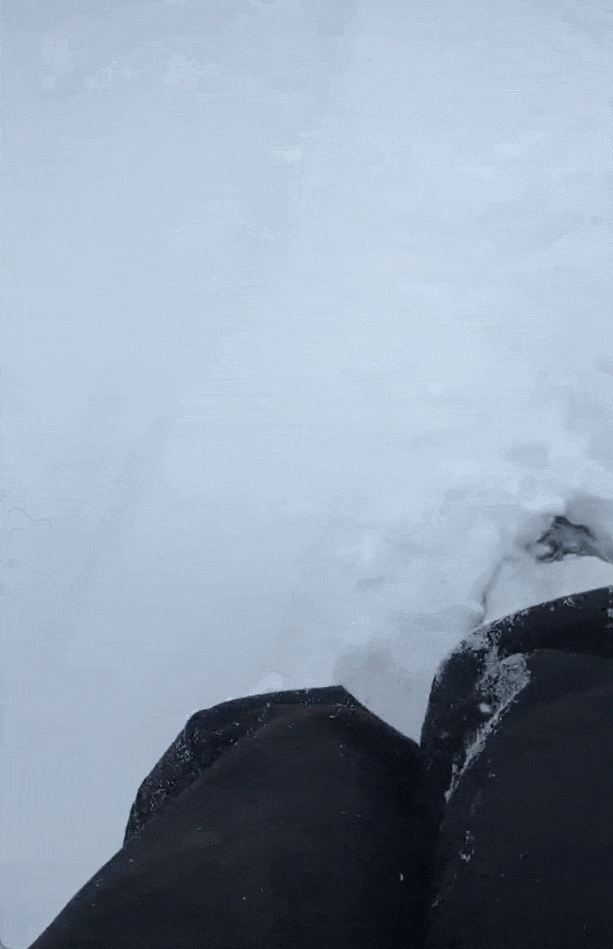 杭州临安山区的积雪。摄影/章叔岩