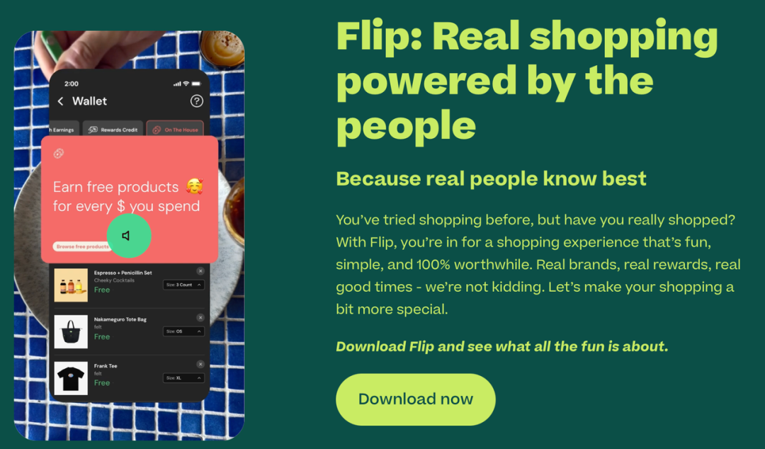 图 8 - Flip 官网