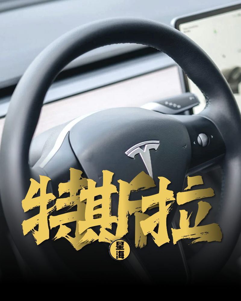 特斯拉FSD入华：不是“鲇鱼”，是“催化剂”（特斯拉fsd中国什么时候能用）