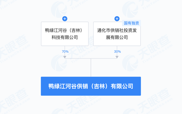 图片起原:天眼查官网截图