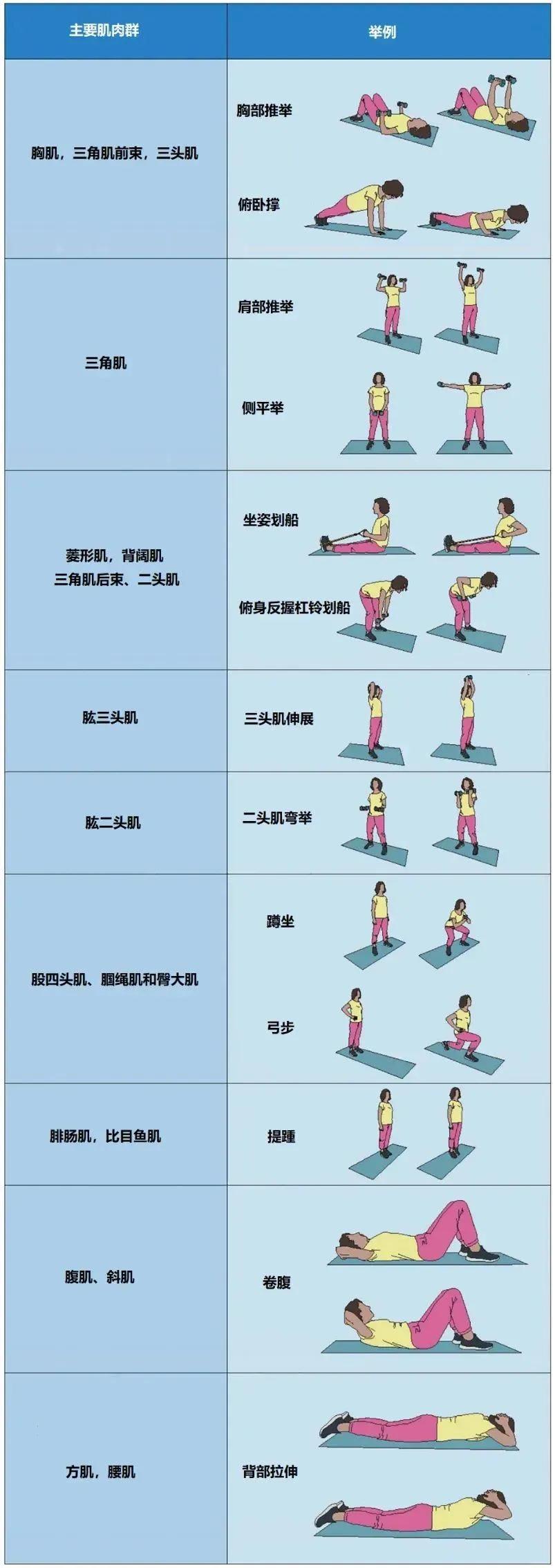 每周每个肌群的锻炼至少进行两次,间隔两天以上