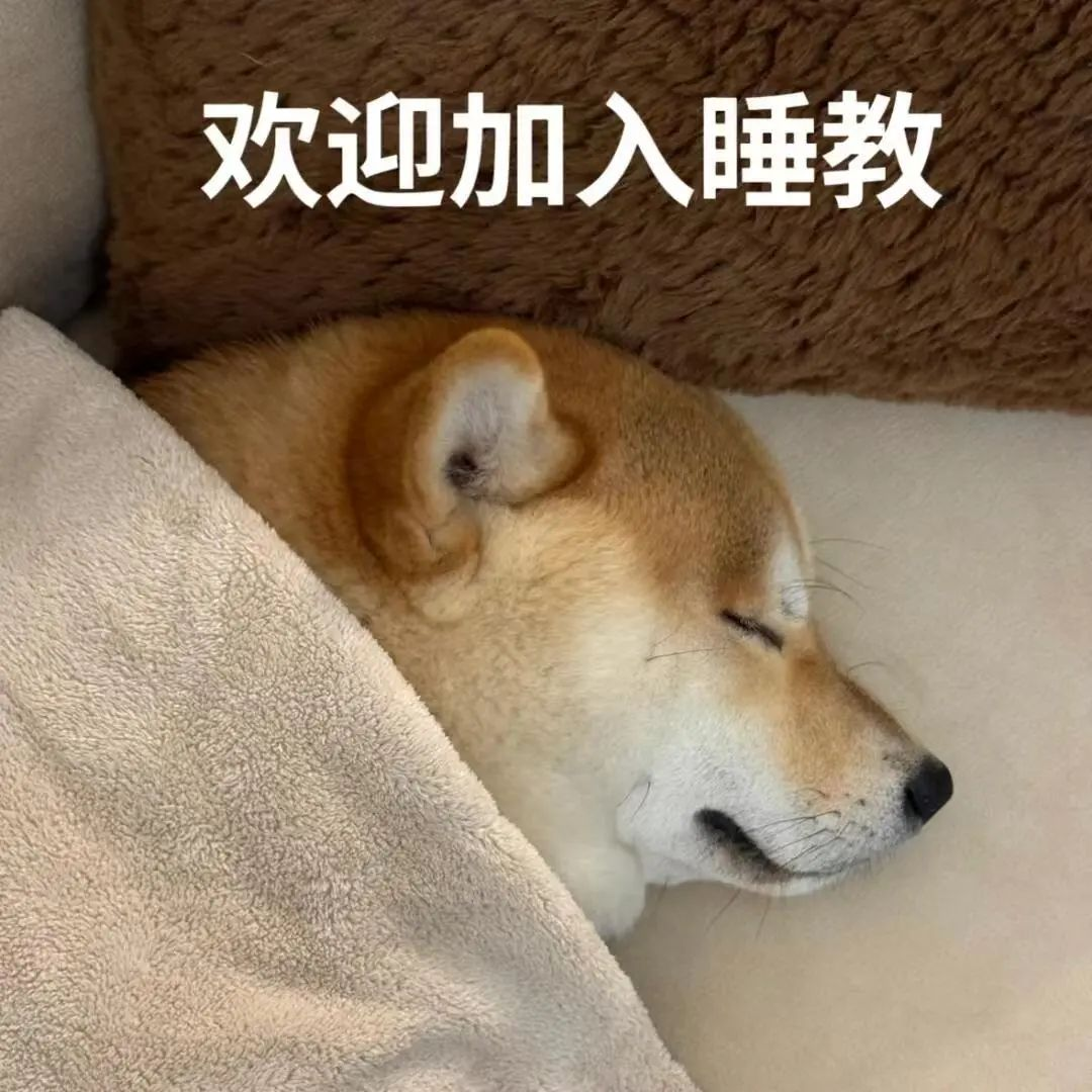 研究:周末补觉真的有用!但有个条件