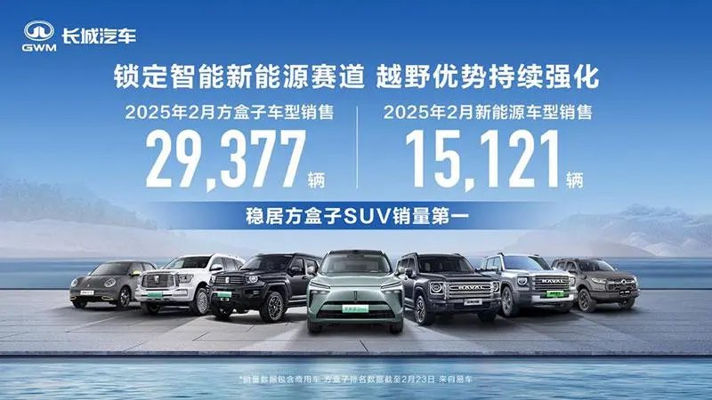 毒舌点评2月销量