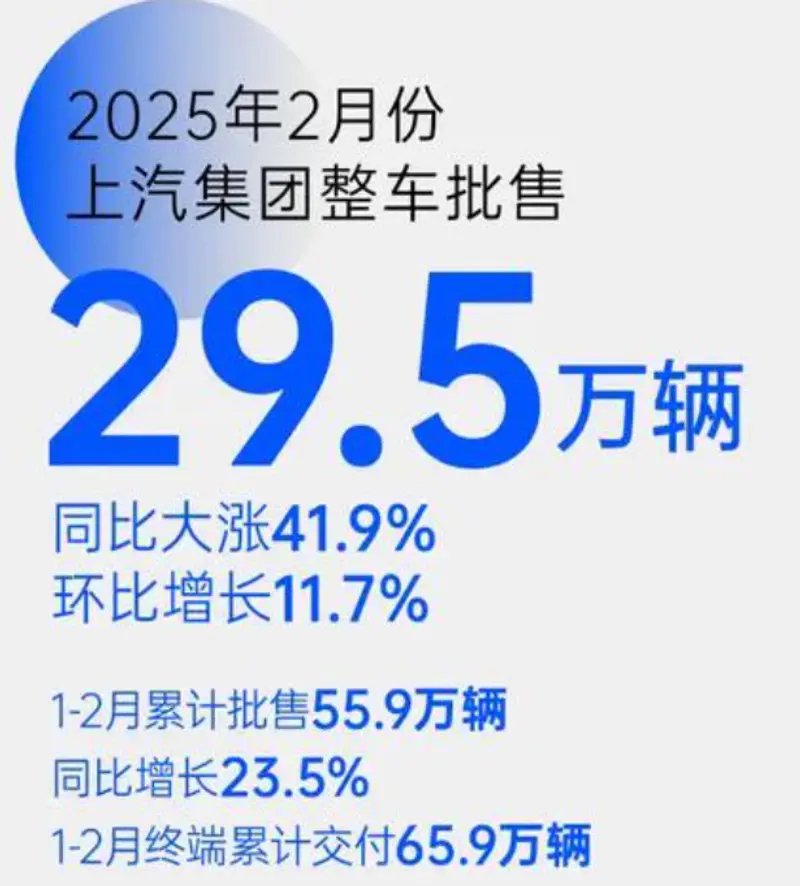 毒舌点评2月销量
