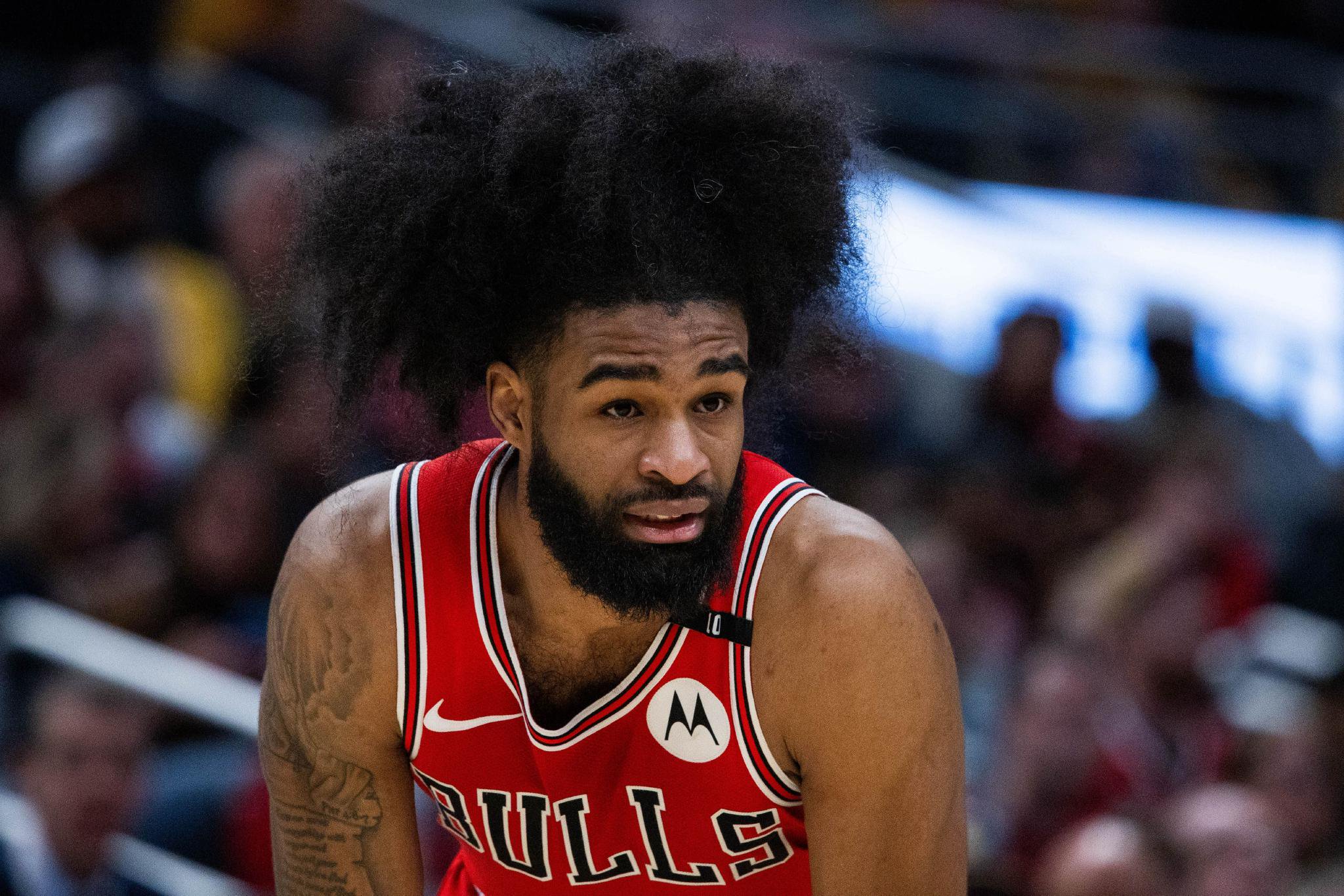 怀特24分+吉迪三双导演逆转 公牛末节狂轰34-18险胜老鹰