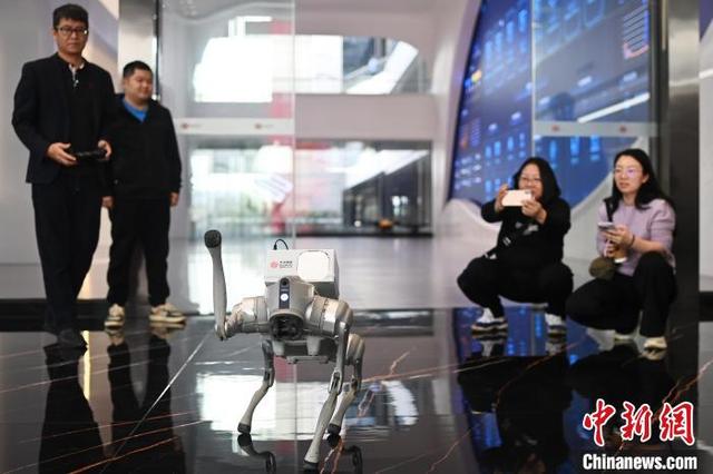 2月28日，广东广州，杰创智能的电磁网捕巡逻机器狗演示巡逻功能。中新社记者 陈楚红 摄