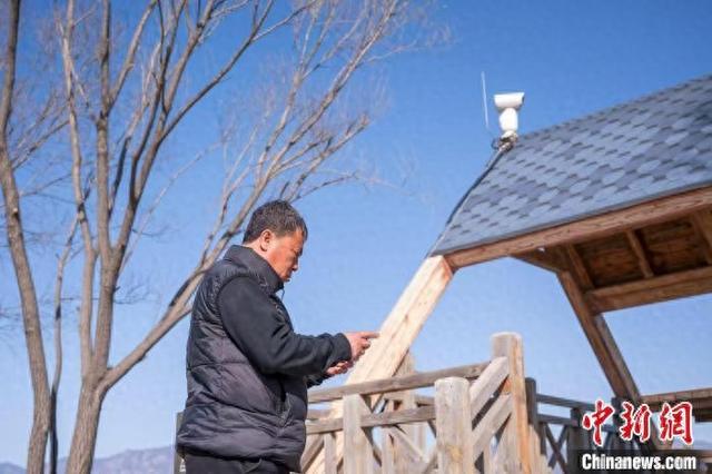 图为北京野鸭湖国际重要湿地启用全新的AI“鹰眼”鸟类监测系统。李晓鹏 摄