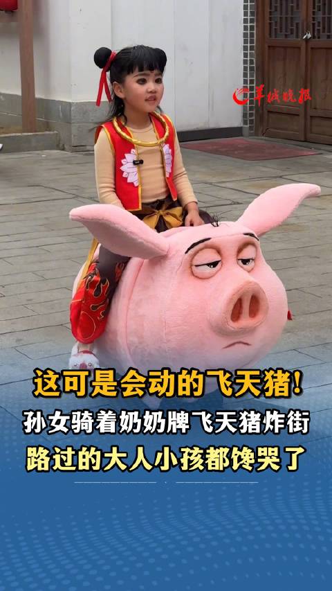 长沙奶奶为孙女缝制能骑的飞天猪_新浪新闻