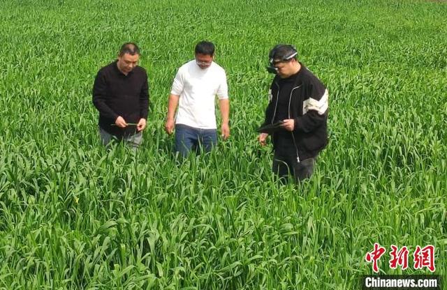 指导种植户学会使用AI工具。富顺融媒 供图