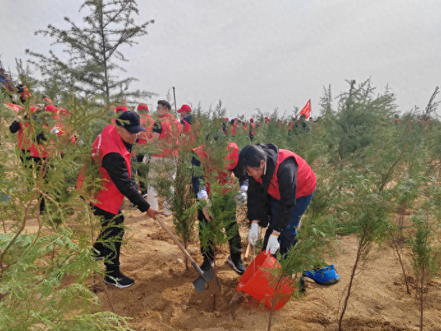 学习新语｜“义务植树是全民行动”