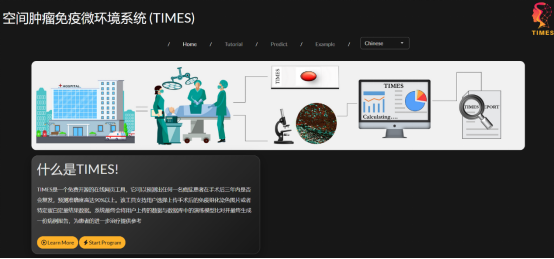 在线网络平台（https://sun.times.ustc.edu.cn/）。中国科大供图