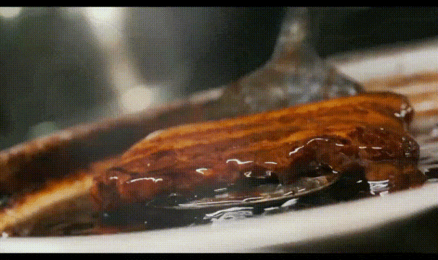 图源：纪录片《日出之食·济南》