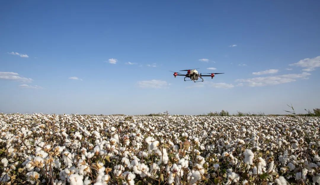 农业植保无人机。图片来源：视觉中国
