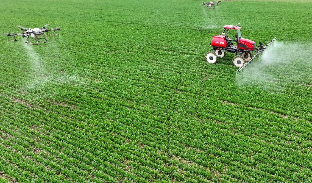 安徽亳州智能无人植保机在无人农场作业。图片来源：视觉中国