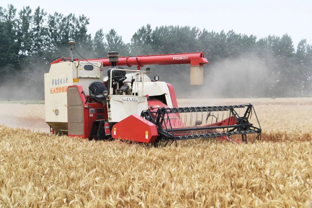 安徽省亳州市谯城区赵桥乡“无人农场”，一台无人收获机自主完成了小麦收割。图片来源：视觉中国