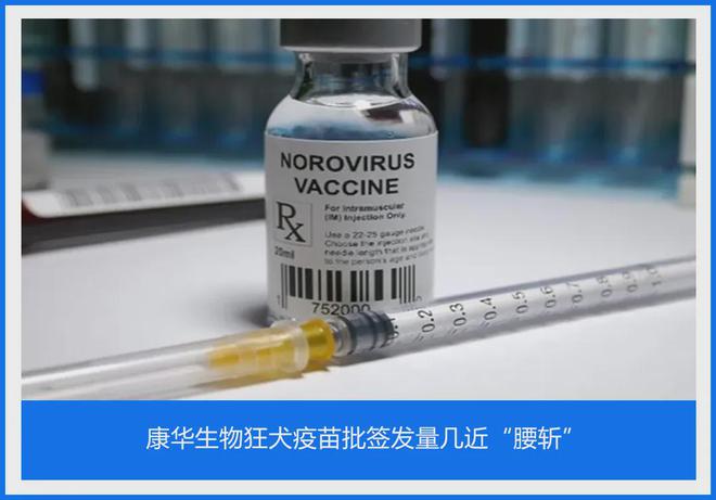 康华生物狂犬疫苗批签发量几近“腰斩”__财经头条
