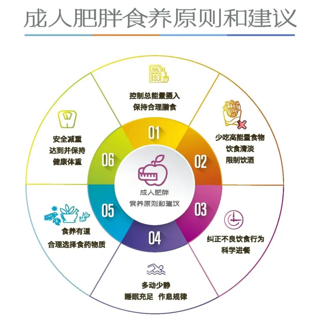 《成人肥胖食养指南（2024年版）》截图